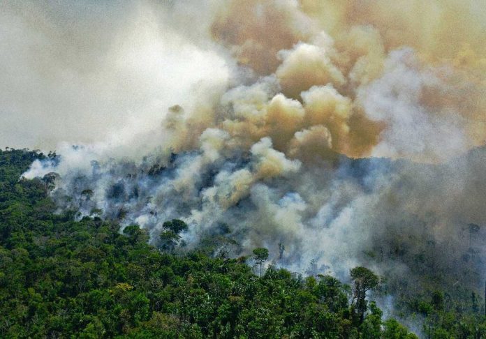 Amazon deforestation up 22% in a year
