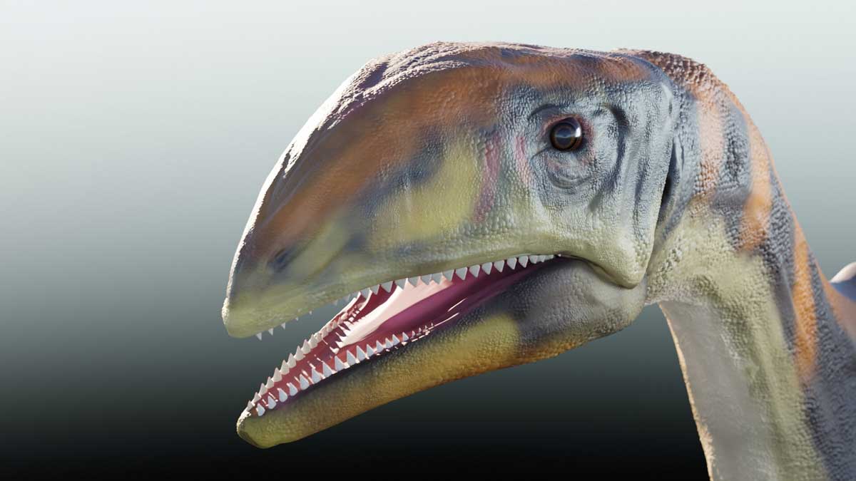 Researchers discovered dinosaur species in Greenland