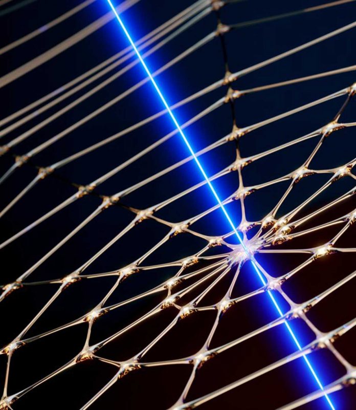 Spiderweb inspires to create precise microchip sensor