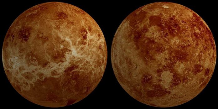 Acid-neutralizing life-forms make habitable pockets in Venus' clouds