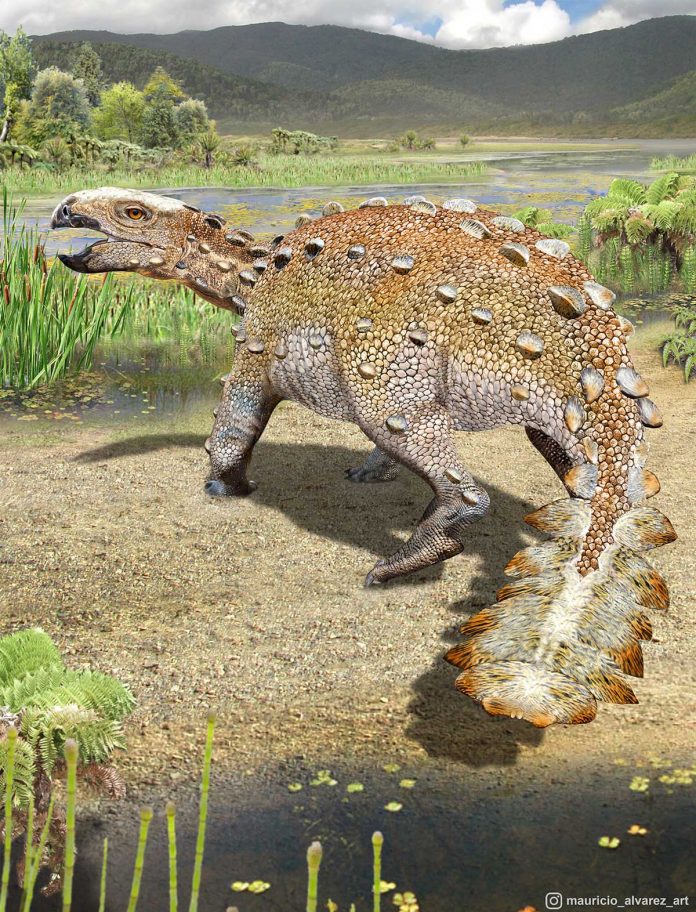 New found dinosaur has a slashing tail