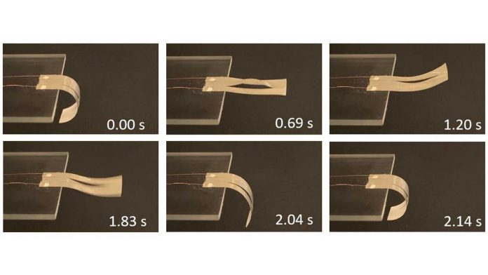 New technique speeds up thermal actuations for soft robotics