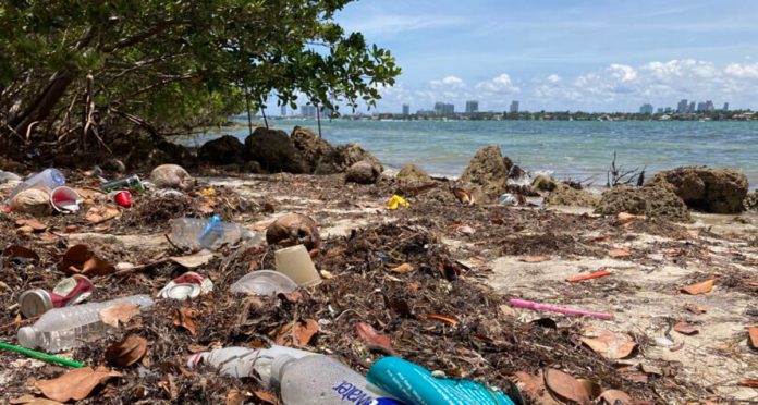 Plastic and other garbage litters the beach on Pace Picnic Island in Miami