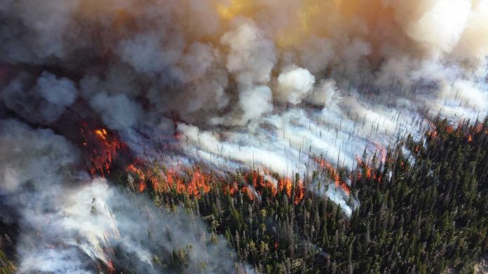Wildfire smoke increases Ozone Pollutant