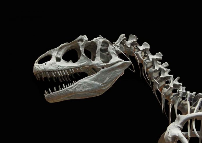 AI will revolutionize how we research dinosaur fossils