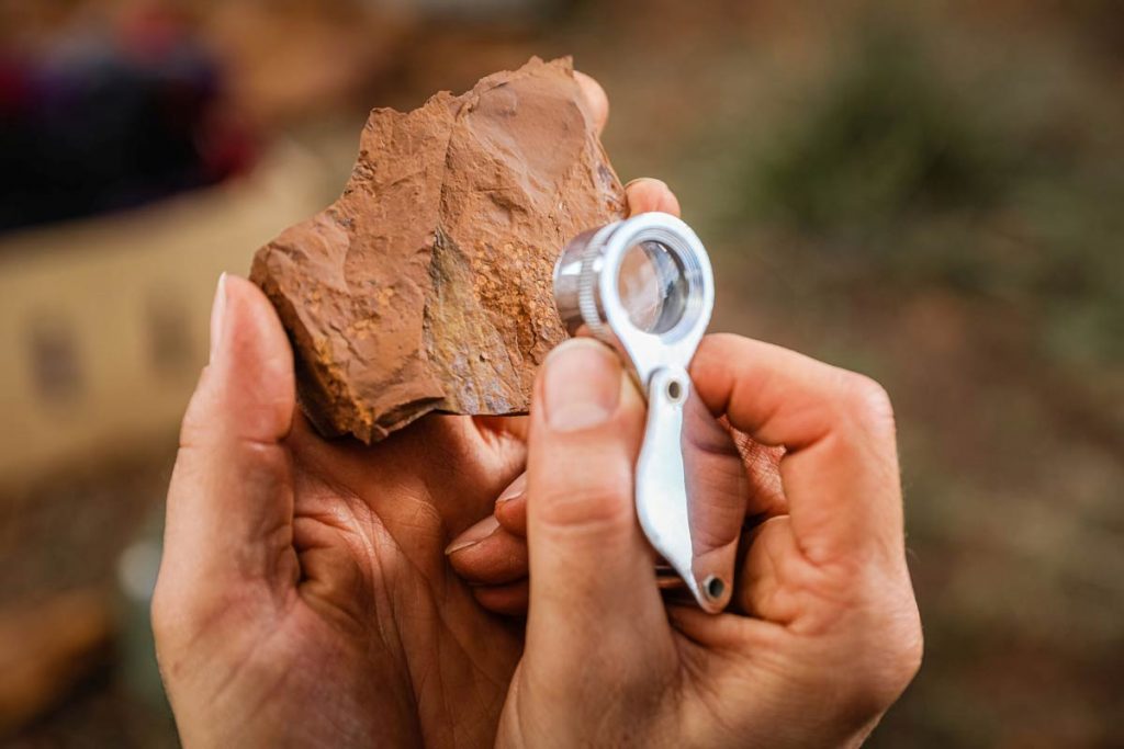Ancient fossils discovered by Australian scientists