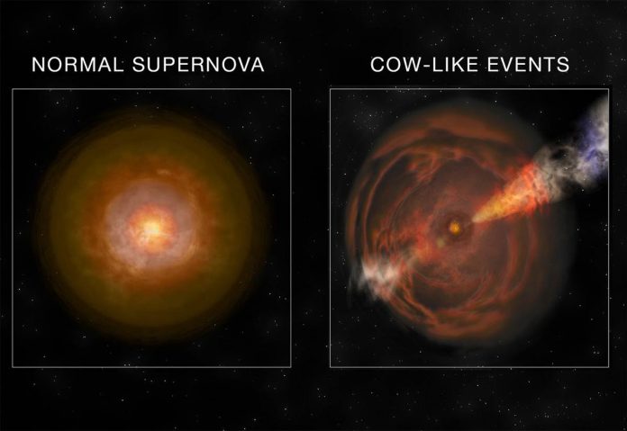 Astronomers find luminous supernova explosion