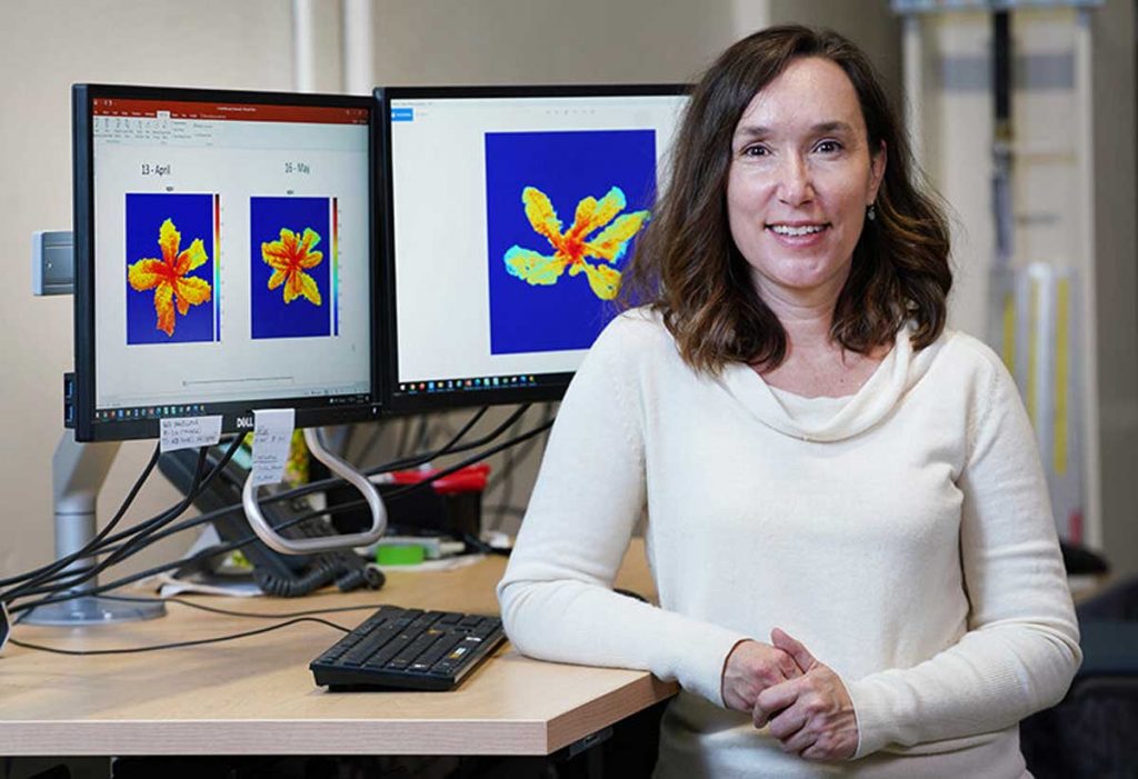 Lori Hoagland, professor of horticulture and landscape architecture at Purdue University, used advanced hyperspectral imaging to detect toxic metal stress in basil and kale in her work to improve food safety