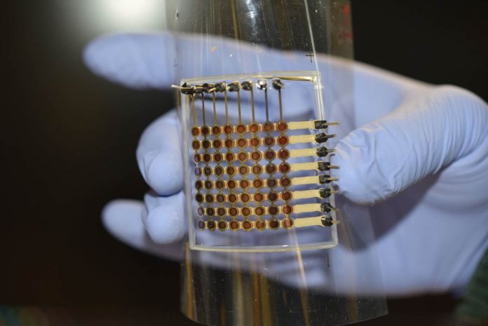 Researchers develop 3D-printed and flexible OLED display