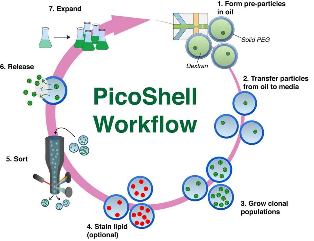 Flow chart showing how PicoShells are used