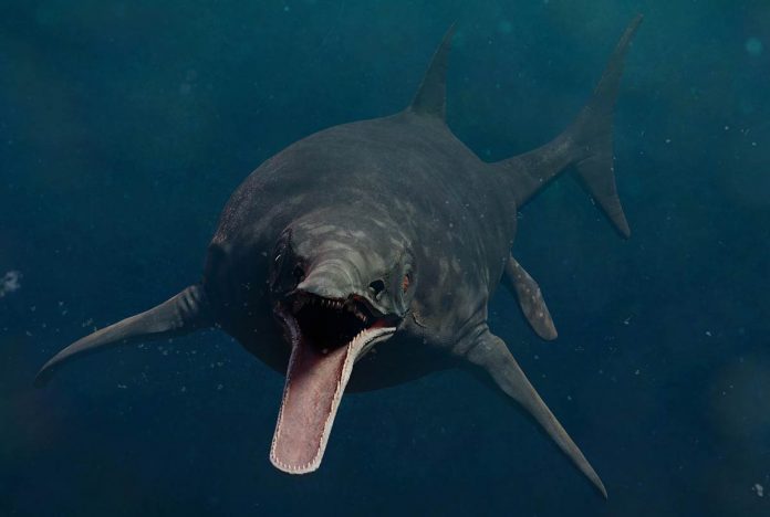 Scientists discover massive sea predator from Triassic period