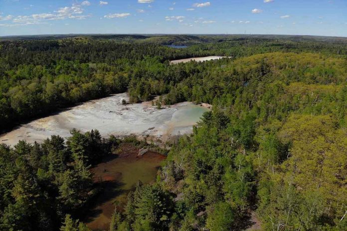 Scientists used waste to clean arsenic from lake contaminated by gold mine