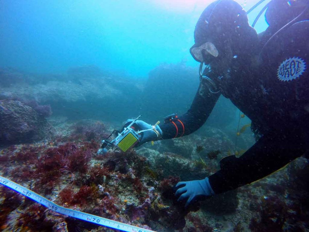 Zachary Randell of Oregon State University measures seafloor rugosity near San Nicolas Island
