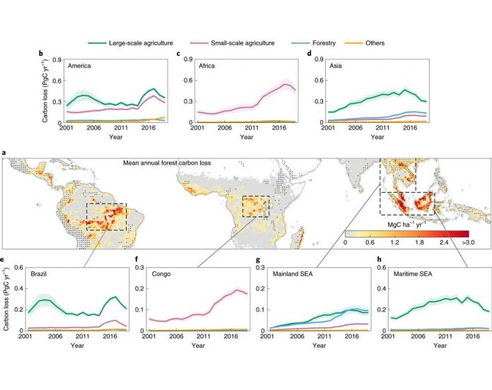 High-resolution satellite datasets show doubling of gross tropical forest carbon loss worldwide over past two decades