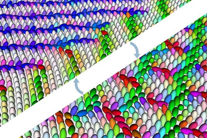 Elastic fields stretch the understanding of chiral molecular crystals