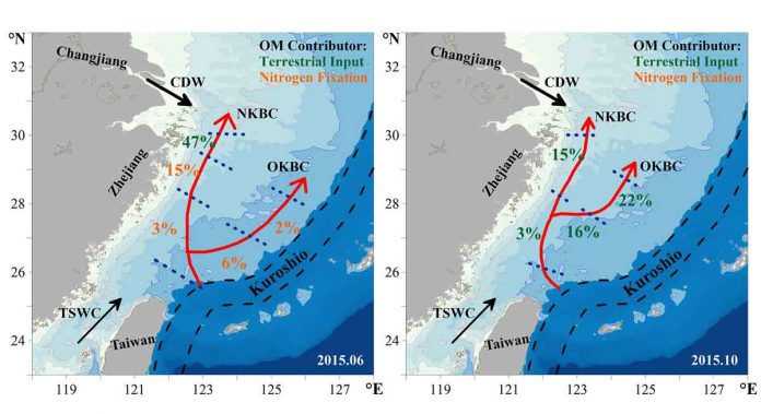 Game between Kuroshio intrusion and terrestrial input leads to hypoxia formation in East China Sea