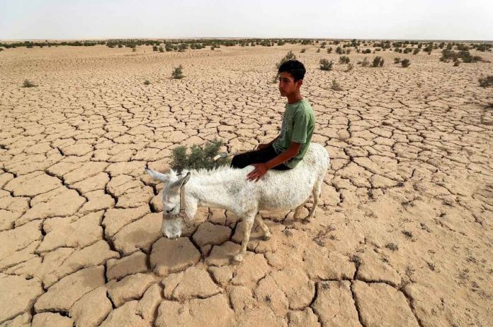 Iraq main irrigation reservoir become drying out