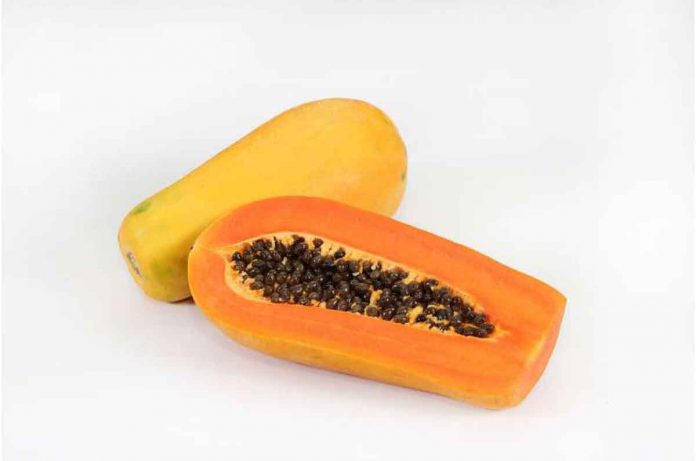 Analyzing the genomic modifications in transgenic papaya