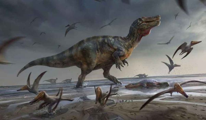 Paleontologists have identified the remains of one of Europe's largest-ever land-based hunter's dinosaur