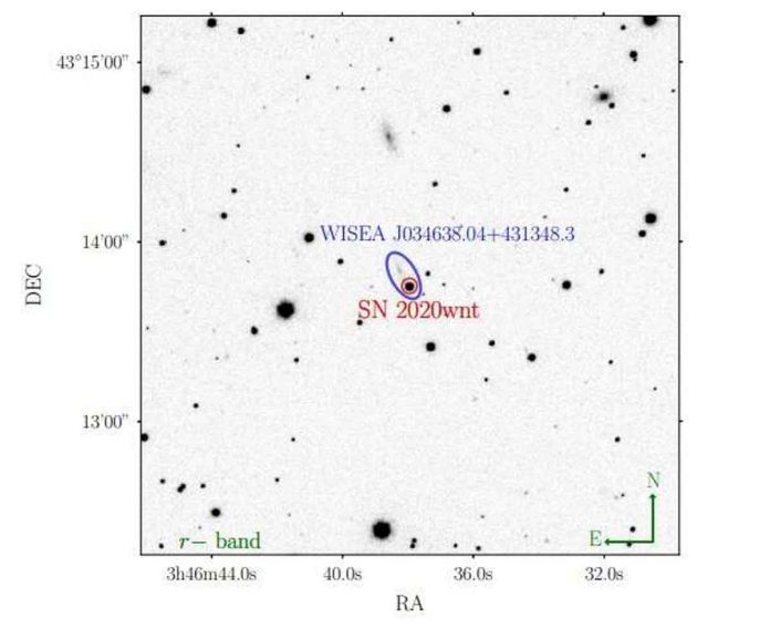 SN 2020wnt is a slowly evolving carbon-rich superluminous supernova