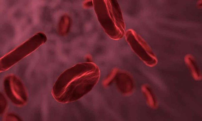 Small molecule transports iron in mice, human cells to treat some forms of anemia