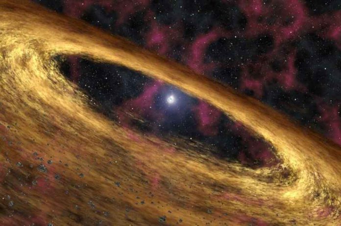 Exploring the origin of 'black widow' pulsars