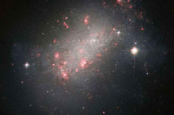 Hubble images unusual galaxy NGC 1156