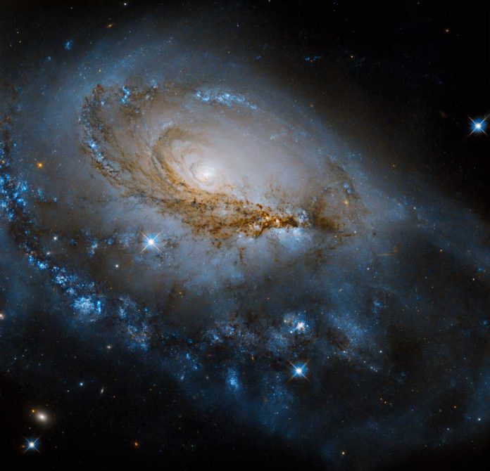 Hubble space telescope captures galaxy NGC 1961