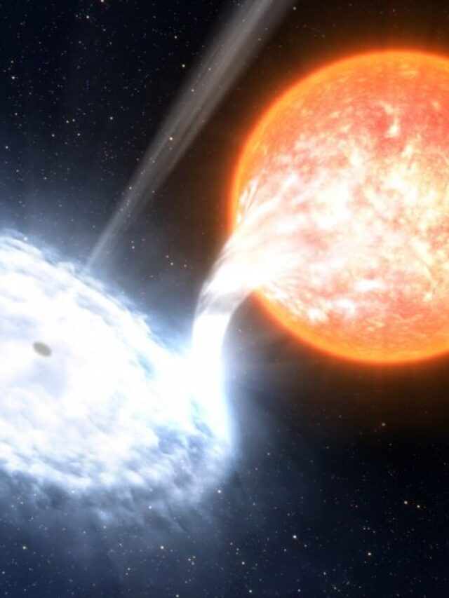 Astronomers find a sun-like star orbiting a nearby black hole