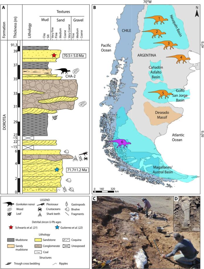 Stratigraphic location of Gonkoken nanoi and geographic distribution of South American duck-billed dinosaurs.