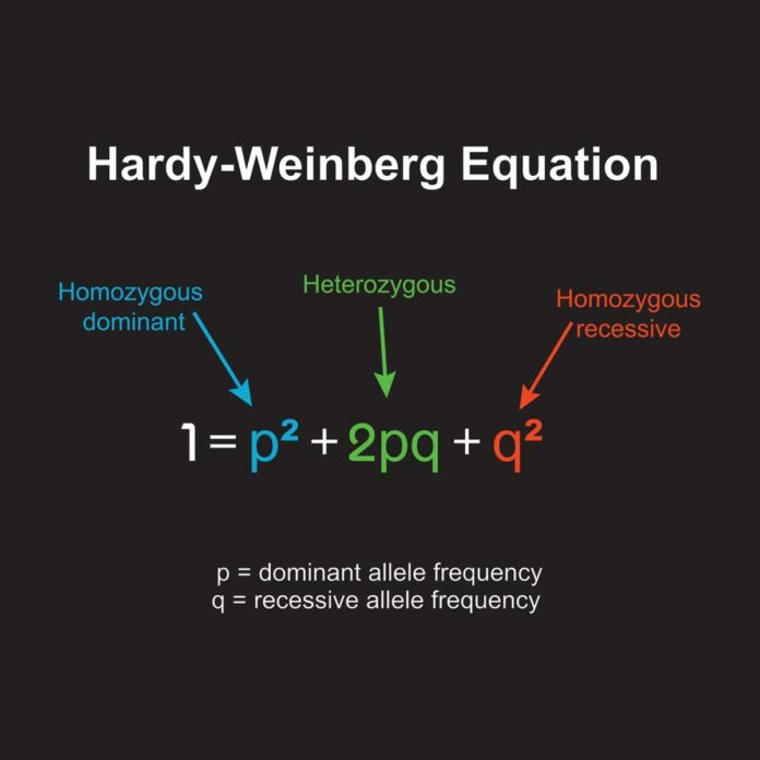 Understanding Hardy-Weinberg Equilibrium and Its Significance in Population Genetics