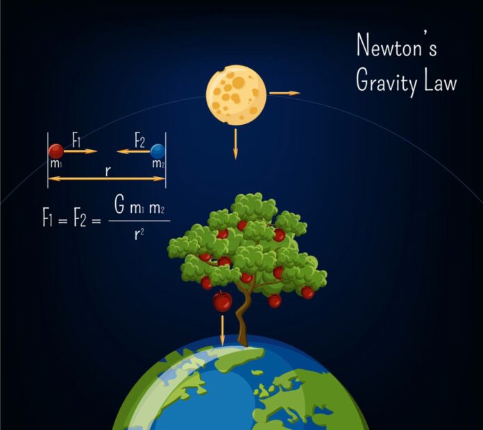 Who Discovered Gravity? Full Explanation